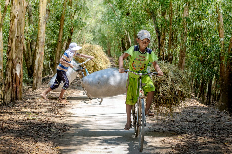 Kids' Farm Days at Chicken Road